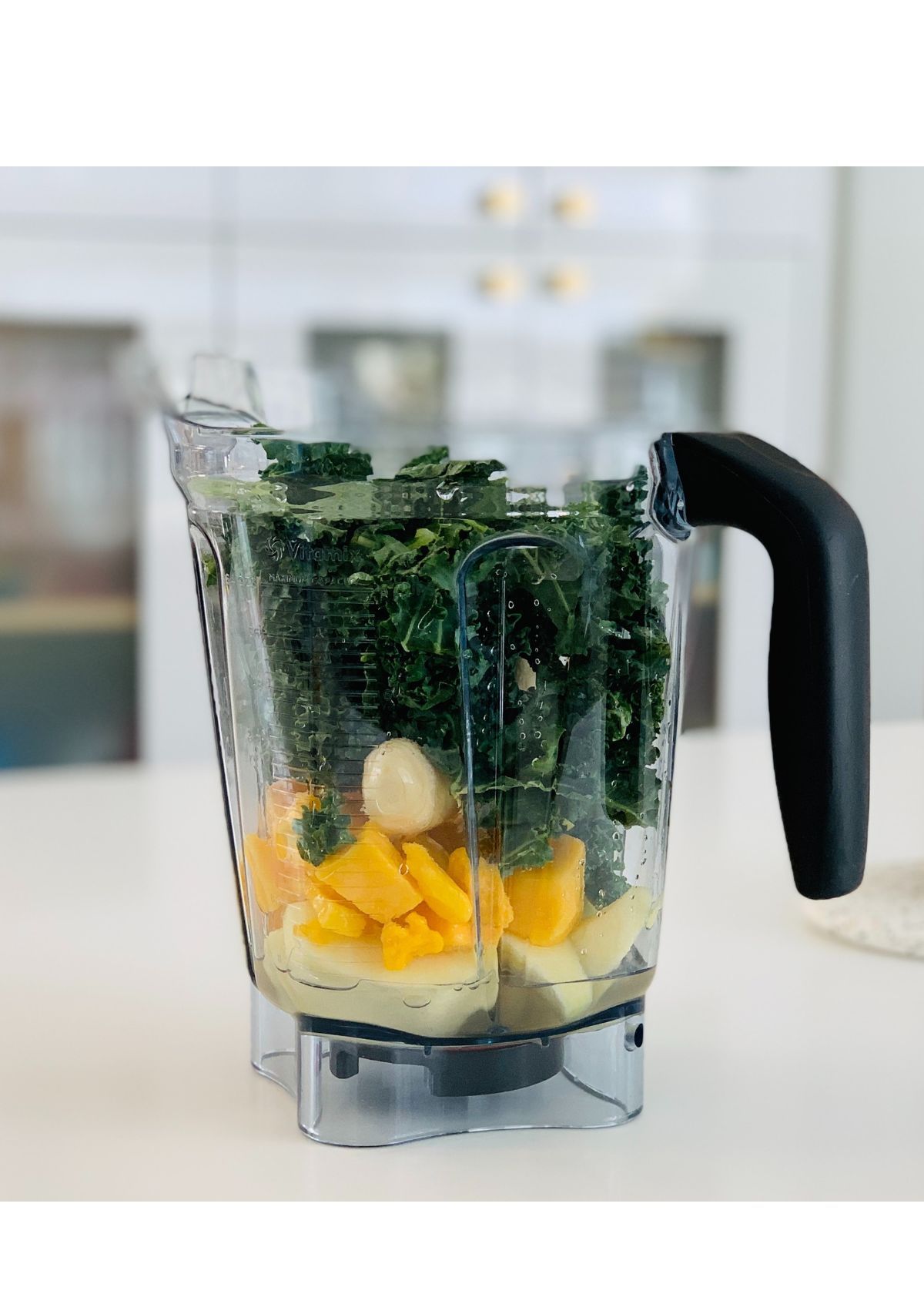 Best Blender Food Processor Combo