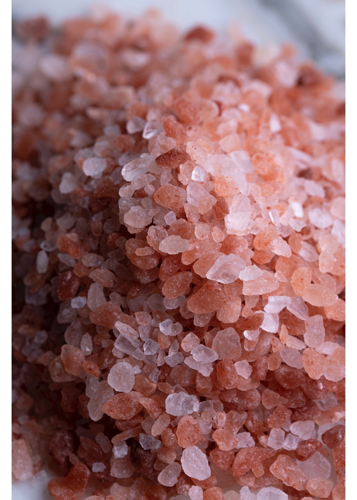 The Best Salt Grinders to add some savor to your life
