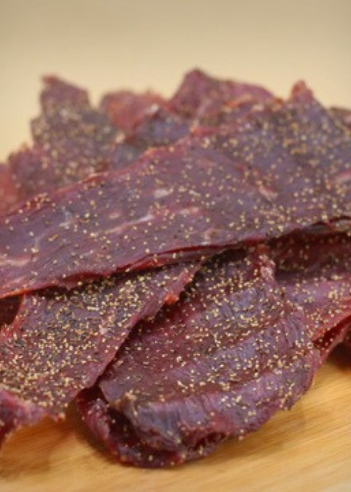 The Best Dehydrator for Jerky